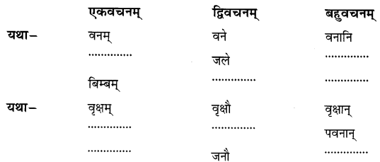 NCERT Solutions for Class 6th Sanskrit: Chapter 5-वृक्षाः