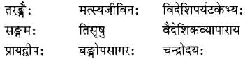 NCERT Solutions for Class 6th Sanskrit: Chapter 6-समुद्रतटः