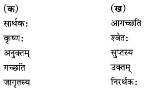 NCERT Solutions for Class 6th Sanskrit: Chapter 8-सूक्तिस्तबकः
