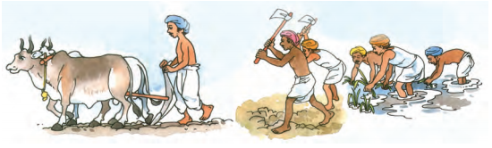 NCERT Solutions for Class 7th Sanskrit: Chapter 3-स्वावलम्बनम्