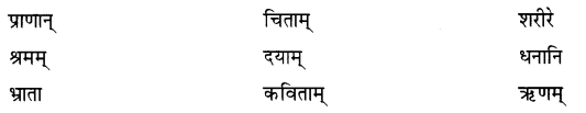 NCERT Solutions for Class 7th Sanskrit: Chapter 4-हास्यबालकविसम्मेलनम्