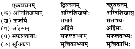 NCERT Solutions for Class 7th Sanskrit: Chapter 8-त्रिवर्णः ध्वजः