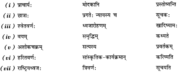 NCERT Solutions for Class 7th Sanskrit: Chapter 8-त्रिवर्णः ध्वजः