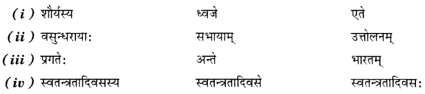 NCERT Solutions for Class 7th Sanskrit: Chapter 8-त्रिवर्णः ध्वजः