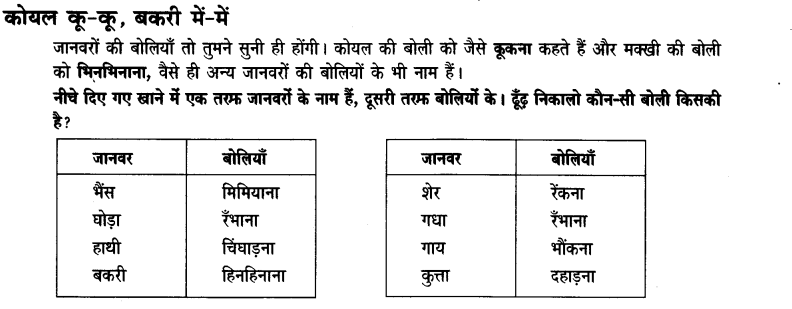 NCERT Solutions for Class 3rd Hindi: Chapter 11-मीरा बहन और बाघ