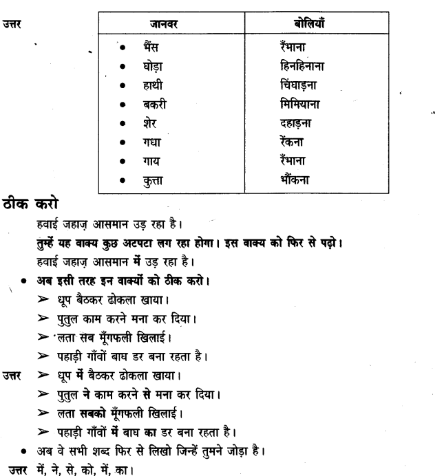 NCERT Solutions for Class 3rd Hindi: Chapter 11-मीरा बहन और बाघ