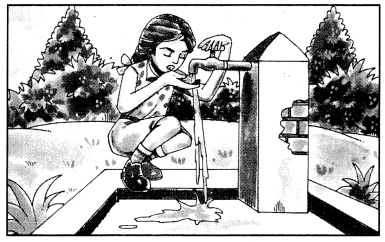 NCERT Solutions for Class 10 Sanskrit Grammar: खण्डः ‘ख’ (रचनात्मक कार्यम्)-चित्रवर्णनम् अथवा अनुच्छेदलेखनम्