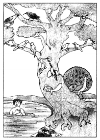 NCERT Solutions for Class 10 Sanskrit Grammar: खण्डः ‘ख’ (रचनात्मक कार्यम्)-चित्रवर्णनम् अथवा अनुच्छेदलेखनम्