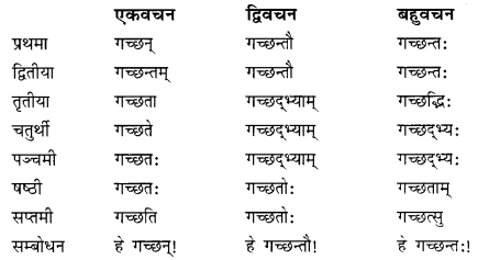 NCERT Solutions for Class 10 Sanskrit Grammar: खण्डः ‘ग’ (अनुप्रयुक्त-व्याकरणम्)-प्रत्ययाः