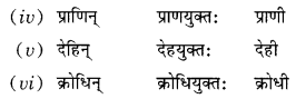 NCERT Solutions for Class 10 Sanskrit Grammar: खण्डः ‘ग’ (अनुप्रयुक्त-व्याकरणम्)-प्रत्ययाः