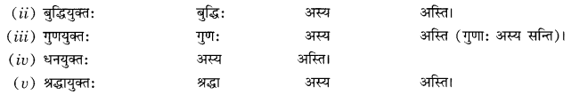 NCERT Solutions for Class 10 Sanskrit Grammar: खण्डः ‘ग’ (अनुप्रयुक्त-व्याकरणम्)-प्रत्ययाः