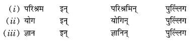 NCERT Solutions for Class 10 Sanskrit Grammar: खण्डः ‘ग’ (अनुप्रयुक्त-व्याकरणम्)-प्रत्ययाः