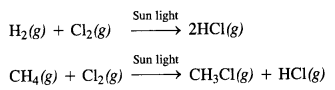 NCERT Solutions for 12th Class Chemistry: Chapter 4-Chemical Kinetics Ex.4.5