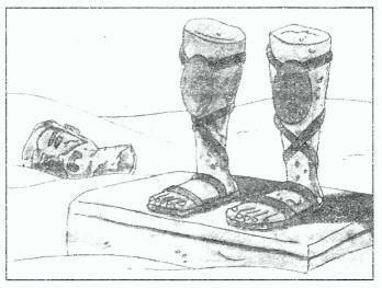 NCERT Solutions for 10th Class English Literature (Poetry): Chapter 10-Ozymandias Que. 1