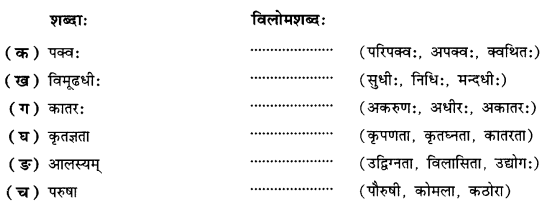 NCERT Solutions for Class 10 Sanskrit (Shemushi): Chapter 9-सूक्तयः