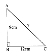 RS Aggarwal Solutions for Class 7 Maths Chapter 15–Properties of Triangles Ex 15D Question 1