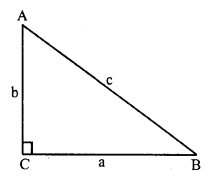 RS Aggarwal Solutions for Class 7 Maths Chapter 15–Properties of Triangles Ex 15D Question 6