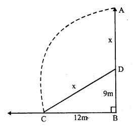 RS Aggarwal Solutions for Class 7 Maths Chapter 15–Properties of Triangles Ex 15D Question 11