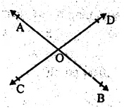 RS Aggarwal Solutions for Class 9 Maths Chapter 3–Introduction to Euclid’s Geometry Question 2