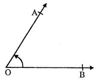 RS Aggarwal Solutions for Class 9 Maths Chapter 4–Lines and Triangles Ex 4A Question 1