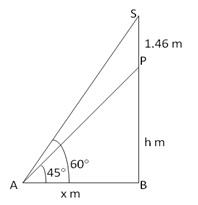 RS Aggarwal Solutions for Class 10 Maths Chapter 14–Height and Distance Exercise 14 Question 12