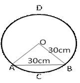 RS Aggarwal Solutions for Class 10 Maths Chapter 16–Areas of Circle, Sector and Segment Question 74