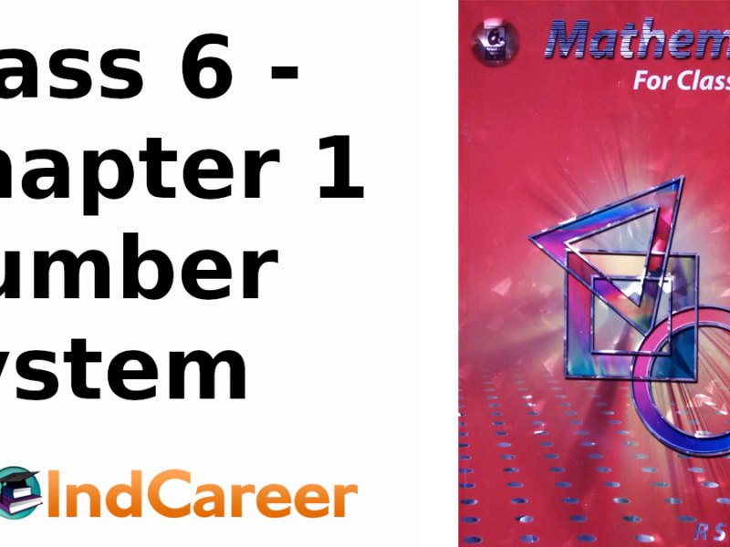 RS Aggarwal Solutions for Class 6 Maths Chapter 1–Number System