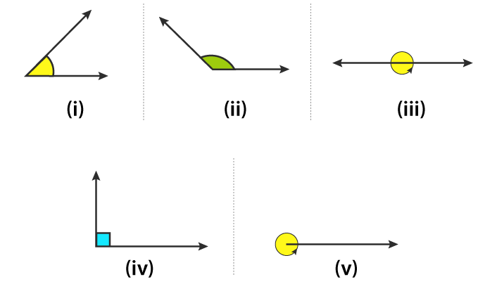 RD Sharma Solutions for Class 6 Chapter 11 solutions