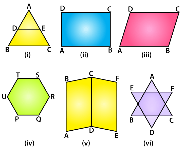 RD Sharma Solutions for Class 6 Chapter 15