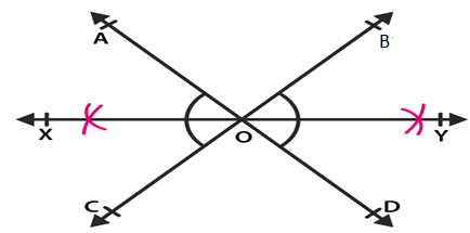 RD Sharma Solutions for Class 6 Chapter 19