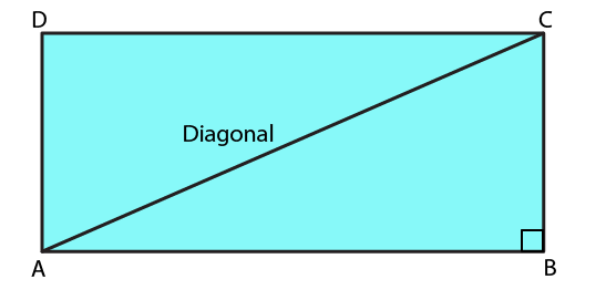 RD Sharma Solutions for Class 6 Chapter 20