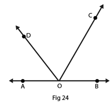 RD Sharma Solutions for class 7 Maths Chapter 14