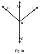 RD Sharma Solutions for class 7 Maths Chapter 14