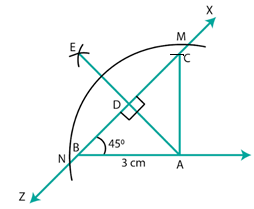 RD Sharma Solutions for Class 7 Maths Chapter 17