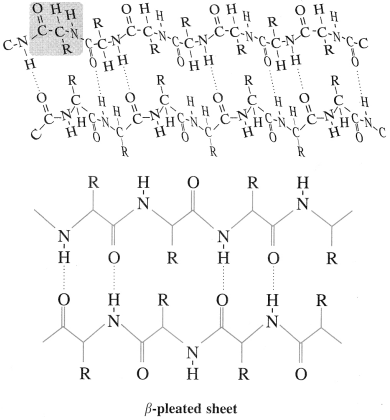 Maharashtra Board Solutions Class 12 Chemistry: Chapter 14- Biomolecules