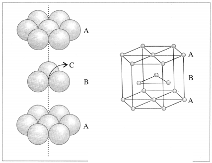 Maharashtra Board Solutions Class 12 Chemistry: Chapter 1- Solid State Question 4.8