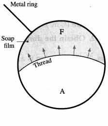 Maharashtra Board Solutions Class 12 Physics: Chapter 2- Mechanical Properties of Fluids Question 1