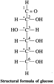 Maharashtra Board Solutions Class 12 Chemistry: Chapter 14- Biomolecules