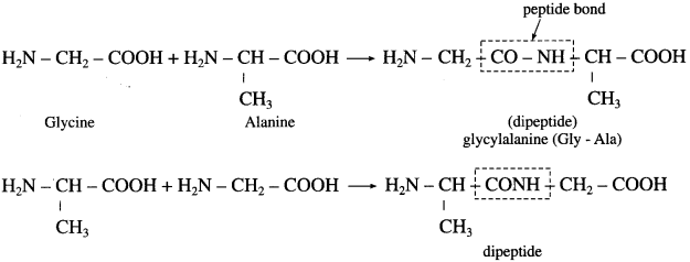 Maharashtra Board Solutions Class 12 Chemistry: Chapter 14- Biomolecules