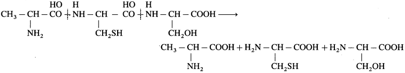 Maharashtra Board Solutions Class 12 Chemistry: Chapter 14- Biomolecules