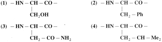 Maharashtra Board Solutions Class 12 Chemistry: Chapter 14- Biomolecules
