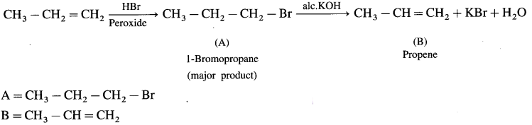 Maharashtra Board Solutions Class 12 Chemistry: Chapter 10- Halogen Derivatives Question 2.v