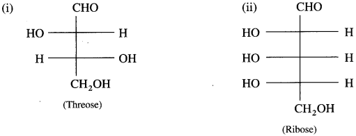 Maharashtra Board Solutions Class 12 Chemistry: Chapter 14- Biomolecules