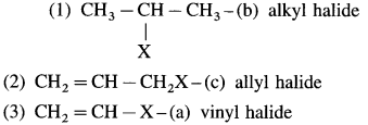 Maharashtra Board Solutions Class 12 Chemistry: Chapter 10- Halogen Derivatives Question 2.viii