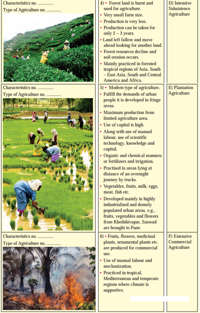 Maharashtra Board Solutions Class 12-Geography: Chapter 4- Primary Economic Activities Question 2