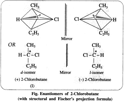 Maharashtra Board Solutions Class 12 Chemistry: Chapter 10- Halogen Derivatives Question 5
