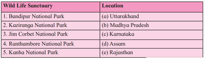 Maharashtra Board Solutions Class 12-English Yuvakbharati (Prose): Chapter 6- Into the Wild