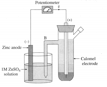 Maharashtra Board Solutions Class 12 Chemistry: Chapter 5- Electrochemistry Question 1