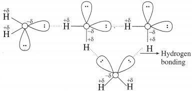 Maharashtra Board Solutions Class 12 Chemistry: Chapter 7- Elements of Groups 16, 17 and 18 Question 1