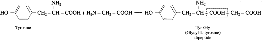 Maharashtra Board Solutions Class 12 Chemistry: Chapter 14- Biomolecules